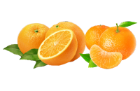 Orange, Tangerine